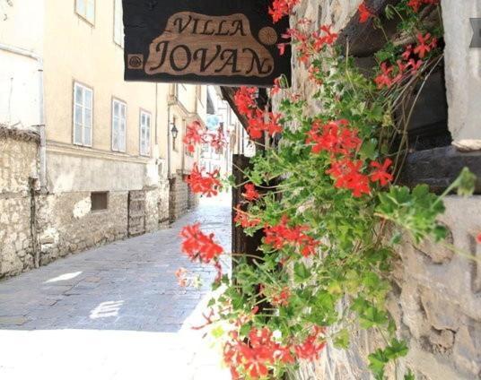 Villa Jovan Ohrid Bagian luar foto